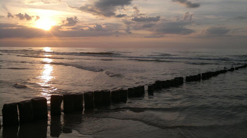 Dolphin House Bed & Breakfast เวบา ภายนอก รูปภาพ