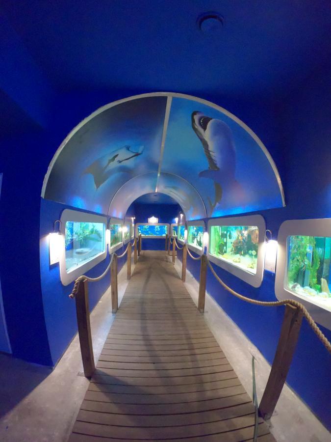 Dolphin House Bed & Breakfast เวบา ภายนอก รูปภาพ